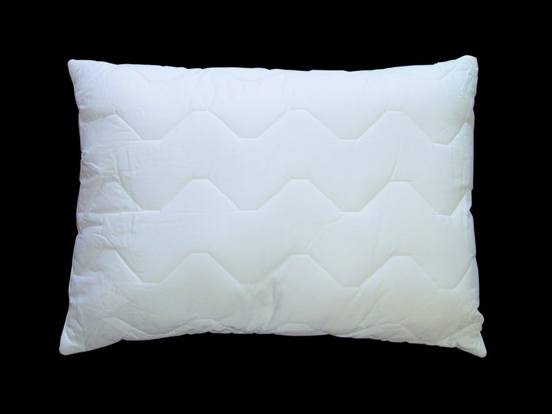 data/washable_pillow.jpg